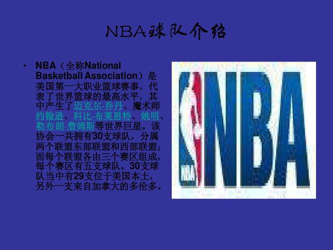 投资者